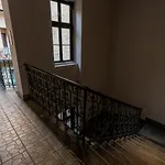 Spacious & Stylish In Downtown